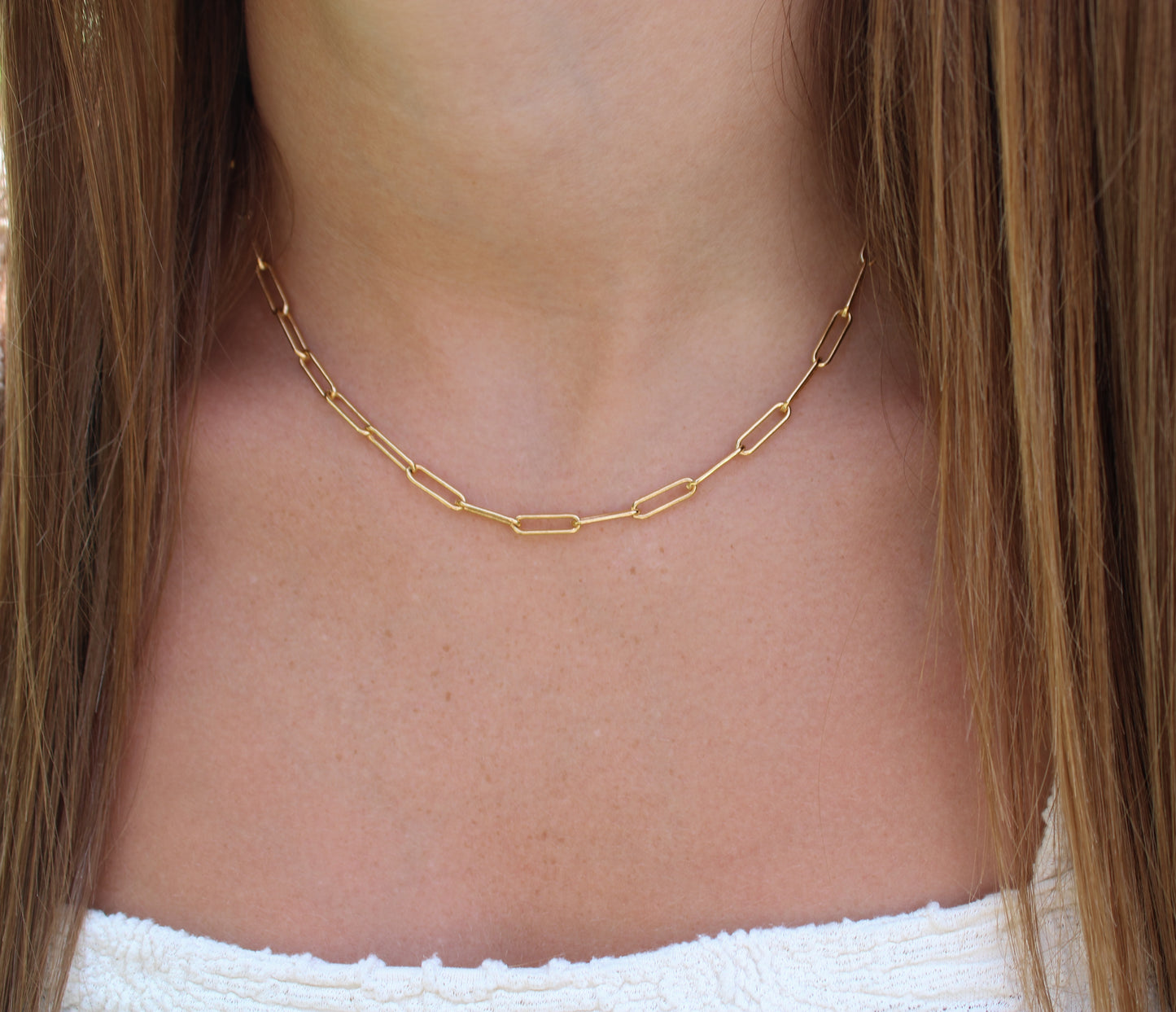 Paper Clip Necklace